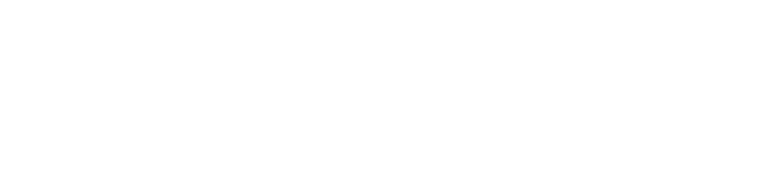 Merida Microsite